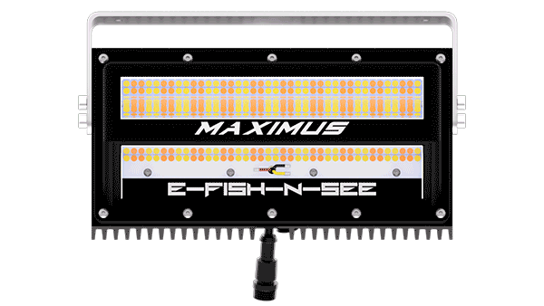 E-FISH-N-SEE® Maximus  130W Tri-Color Bowfishing Lights